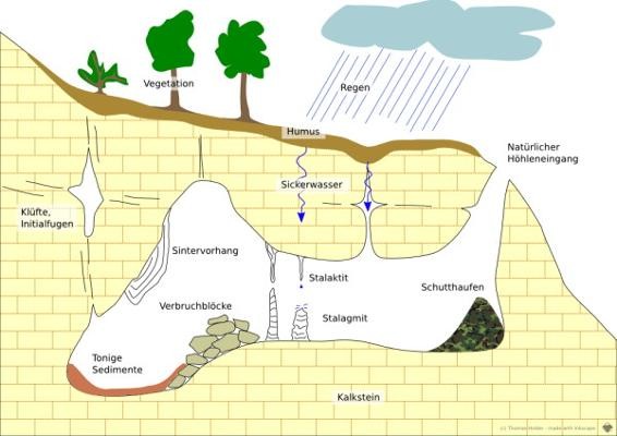 Schematische Zeichnung: die Entstehung einer Tropfsteinhöhle